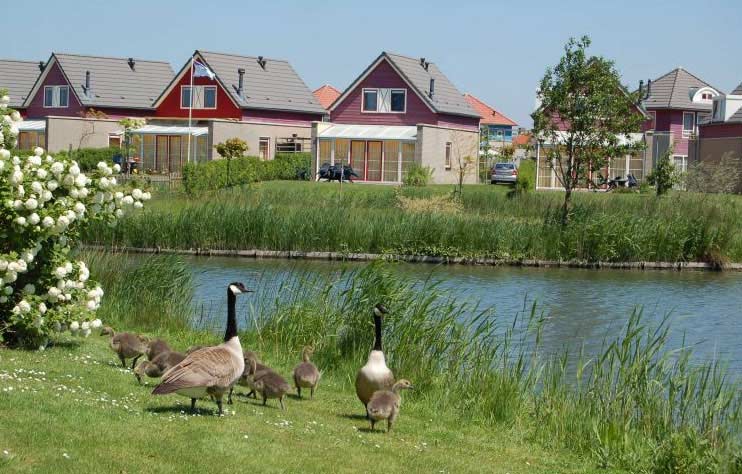 Sfeerbeeld Zeeuws-Vlaanderen: bungalows aan een vijver in het groen